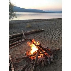 All Natural Fire Starters 35 Count Pine Scented Non Toxic Fire Starter Nuggets