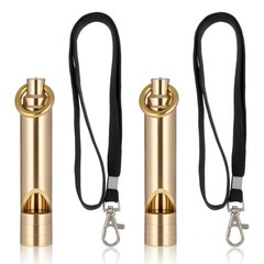 2 Pack Brass Emergency Whistles with Lanyard for Kayak Life Vest Boating