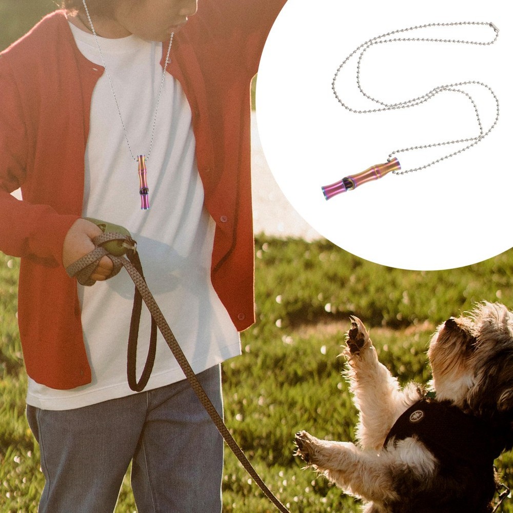 Stainless Steel Whistle Outdoor Dog Training Whistle Portable Bird Training