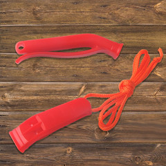 10 Pcs Safety Whistle Marine Whistle Plastic Whistles with Lanyard