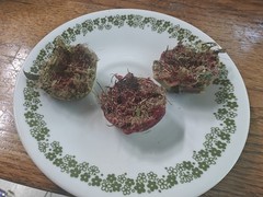 3 firestarter squares +herb/mosquito repellent infused cedar/cinnamon multiuse