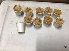 Homemade Pine Chips Fire starters 2 Oz. Lot Of 10