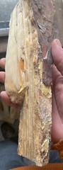 Exceptional Premium Fatwood Log 12.6oz (3/4lb) Sticky All Natural NonToxic