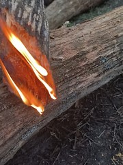 Fire Fuel Starter FAT WOOD LIGHTER KNOT