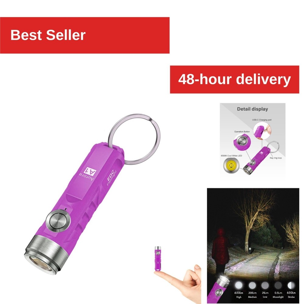 RovyVon Aurora A1 Keychain Flashlight 650LM USB C Rechargeable Purple