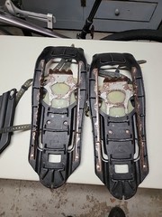 MSR EVO Ascent Snowshoes