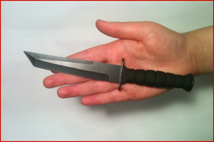 Fixed Blade Samurai Katana Tanto Style Knife + Key Chain Multi Tool Pliars