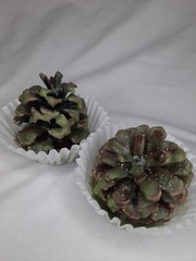 5pk Pinecone Fire Starter Scented Wax Bonfire Fireplace Unique Valentines Gift