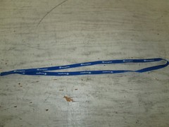 Champion Whistle & 18″ Lanyard, GUC
