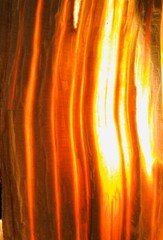 1 LB FATWOOD ECONOMY GRADE Sticks All Natural NonToxic Safe Easy Lighting Value