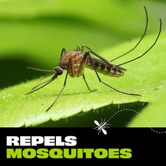 STEM Mosquito and Tick Repellent Bug Spray, Fragrance-Free Picaridin , 4 oz