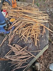 Fatwood 10 lbs Firestarting Sticks Hand Cut in USA Fireplace Camping Emergencies