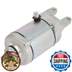SCITOO Starter Motor 18911 19599 for Arctic Cat 250 2×4 06-09 L 249cc cid for Mi