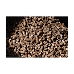 Bear Mountain FK14 Premium All Natural Low Moisture Hardwood Smoky Hickory BB…
