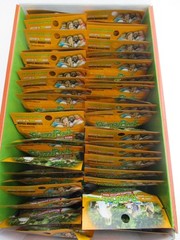 50 NEW Buggy Beds Mosquito Insect Repellent Wristbands Multiple Colors FREE Ship