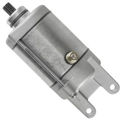 SCITOO Starter Motor 18911 19599 for Arctic Cat 250 2×4 06-09 L 249cc cid for Mi