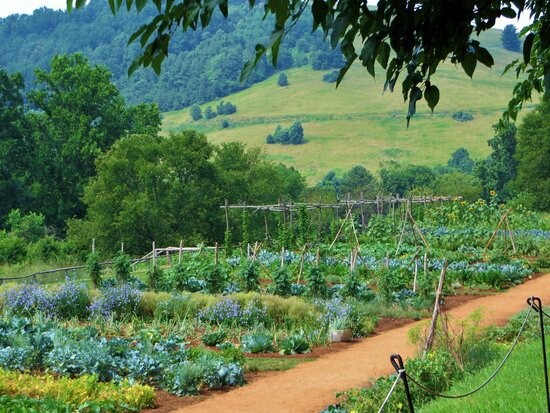Survival Garden Non-GMO Heirloom Vegetable Seeds 21 Variety Pack Open Seed Vault