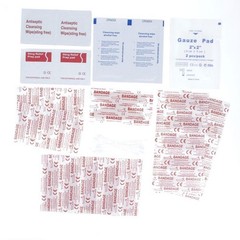 50-Piece First Aid Kit Stored in Waterproof Case with 5mm Carabineer & Lanyard