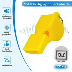 PlumeCHJ 2 Pack Sports Whistle with Lanyard Loud Sound for Coaches Referee