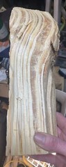 Premium Fatwood Log 2 lb 10.9oz Sticky HardPine Heartwood Pitchwood Fire
