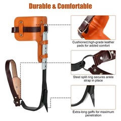Tree Climbing Spike Crampons, Trees Artifact Crampons for Trees Set for Practice…