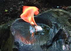 UST WetFire Tinder (24 Pack) (BUNDLE) 20-1WG0412