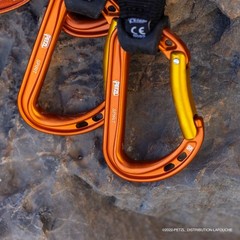 Petzl Spirit Carabiner – Durable, Lightweight Carabiner for Sport & Trad Clim…