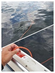 Floating Kayak Rope Reflective Orange 3/8 Inch 32 Feet 4600 lb Nylon Polyester