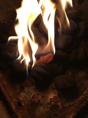 Fire Starter