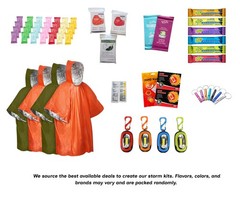 Emergency Kit – Winter Storm & Ice Storm Survival Kit, Power Outage Preparedn…