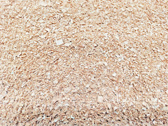 Hickory Wood Shavings Clean Cut 1lb For Fire Start, Crafts or Smoking SHIPs FREE