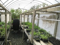 Organic Vegetable Seed 21 Variety Garden Emergency Survival Heirloom Seeds Set !