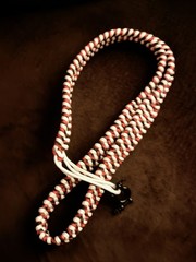 Paracord Turtlebox Strap