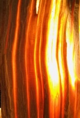 5.5 lbs -premium medium sticks- All Natural Fatwood Pure Sticky Lights When Wet