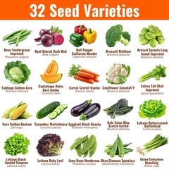 |15,000 Heirloom Seeds | 32 Seed Types | Survival Seeds | 2026 Season | Non G…