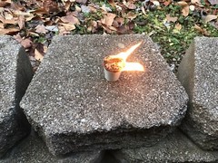 Homemade Pine Chips Fire starters 2 Oz. Lot Of 10