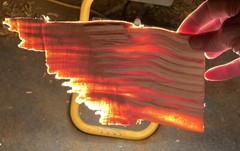 4 lbs+4.3oz -Resin Cores small & med. size -All Natural Pure Sticky Fatwood