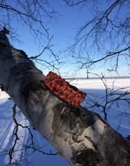 ParaTinder Bracelet Heavy Duty Paracord, Flammable Thread Core and Fire Starter