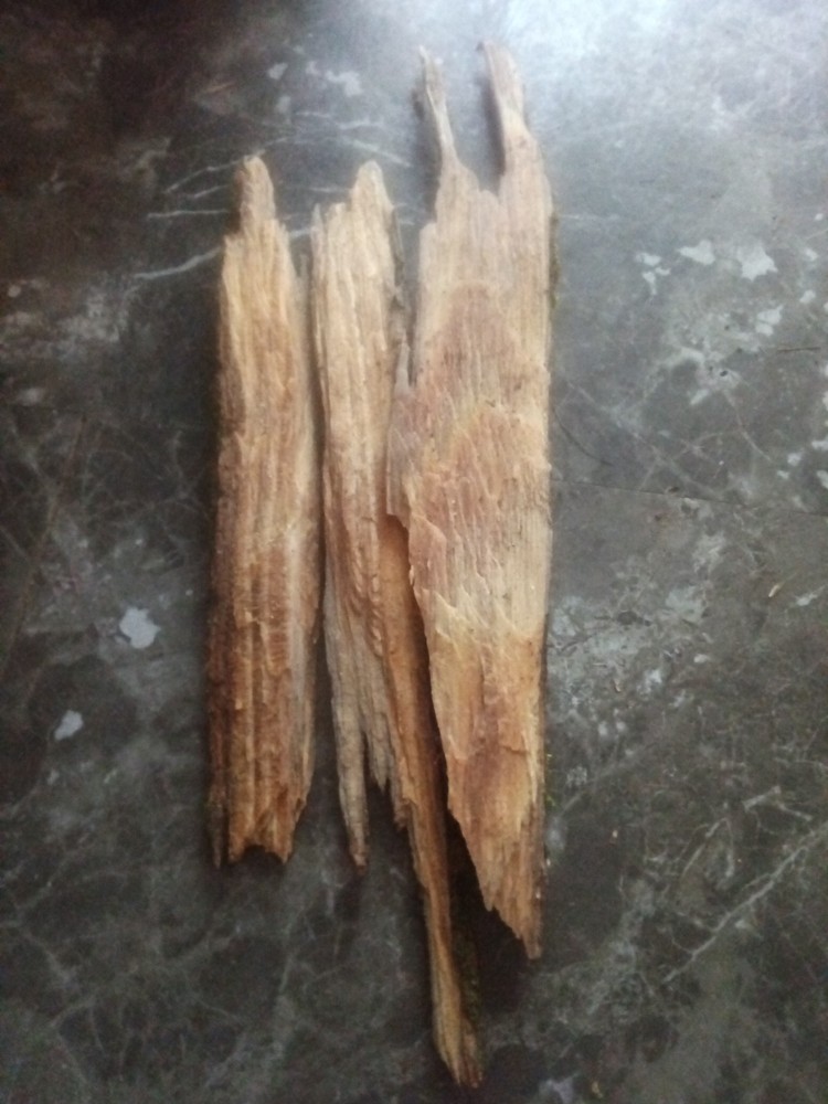 1 lb (pound) Pack Fatwood 100% Natural Fire Starter Resin Rich Wood Water Resist