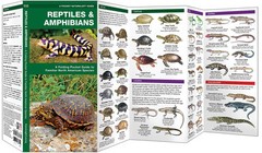 Reptiles & Amphibians – Emergency Survival Guide Bug Out Bag Kit Book