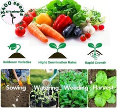 Starter Seed Kit: 15,000+ Seeds, 40 Heirloom Fruit & Vegetable Varieties – Per