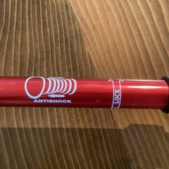 Swissgear Aluminum Extendable/ Collapsible Walking Pole, Red,