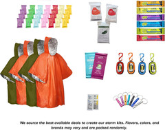 Emergency Survival Kit for Hurricane, Storm, Tornado, El Niño Preparedness | Ins