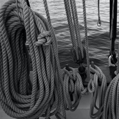 12-Strand DYMAX Rope | Gray | 10, 25, 50, 100, 600 ft | ½, ¼, 1/8, 3/8, 5/16