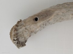 Mag Flint Firestarter Stag Handle Fire Starter