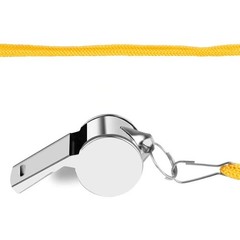 SHENGQIDZ 24 Pack Whistles, Stainless Steel Sports Loud Crisp Sound Whistles …